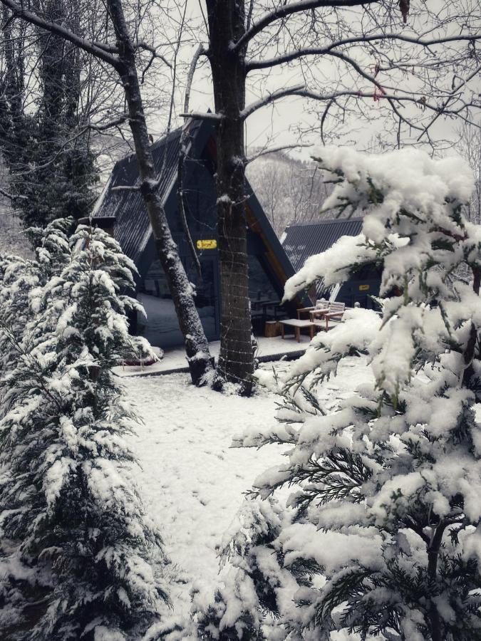 Loca Sapanca Bungalov Buitenkant foto